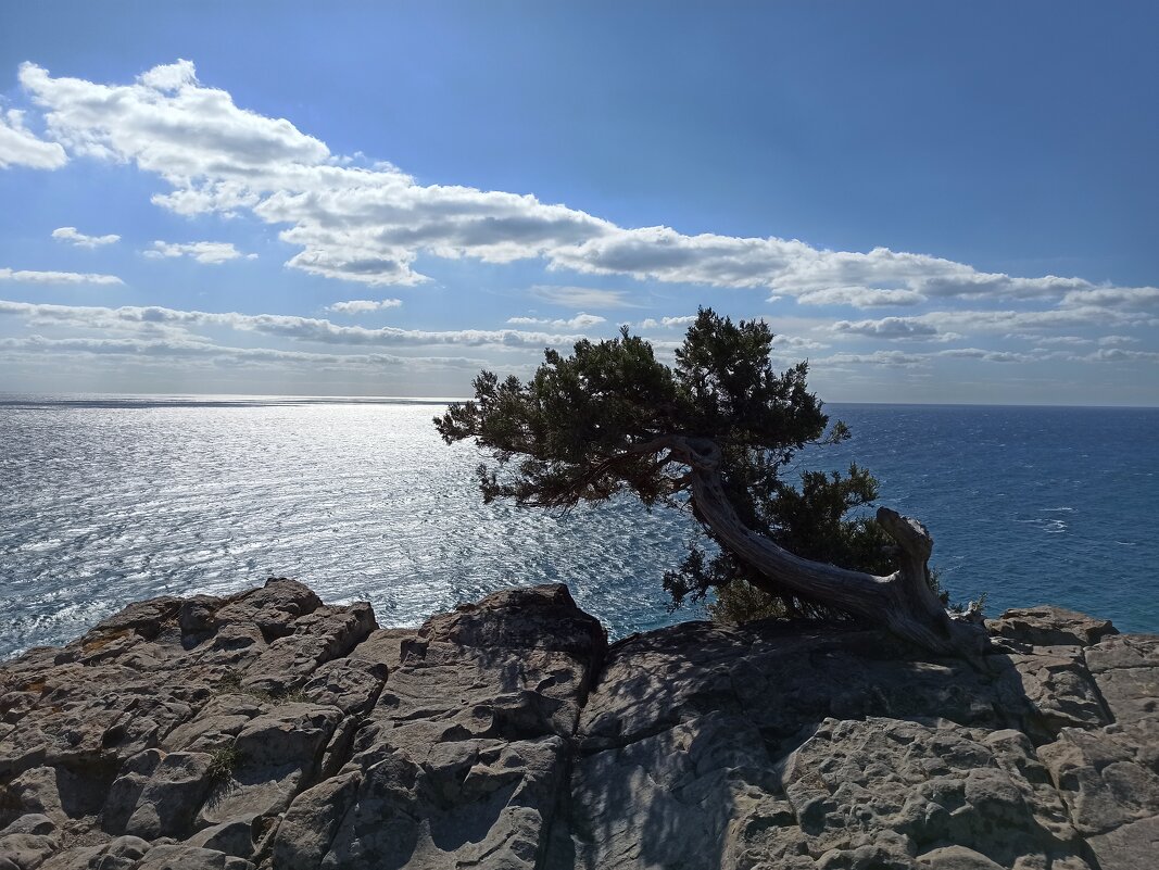 Мыс Плака. Крым. - Галина Мыс Плака. Крым. - Галина