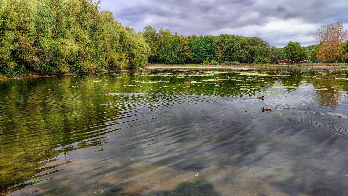 Терлецкие пруды - Наталья Лакомова
