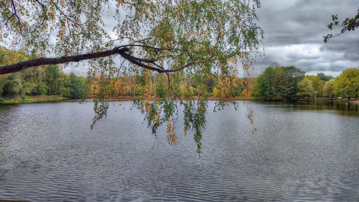 ******* - Наталья Лакомова