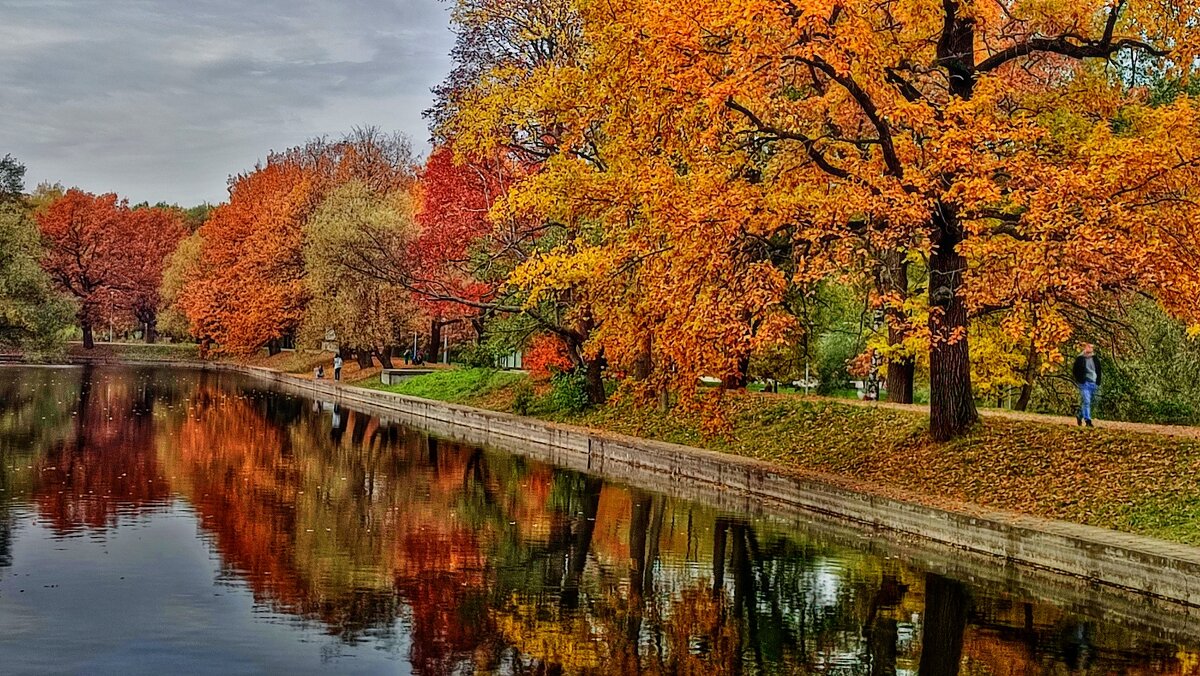 Красавица осень - Наталья Лакомова
