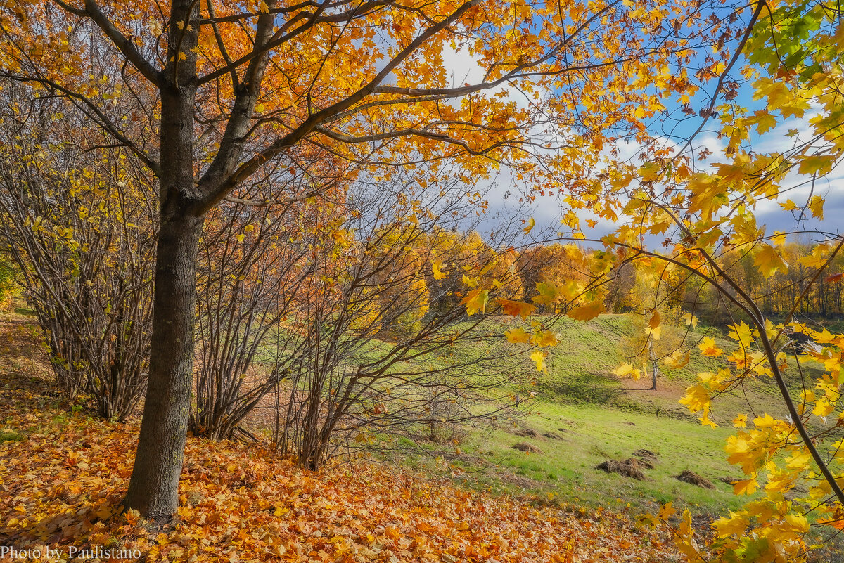 Октябрь в Царицыно... - Владимир Жданов