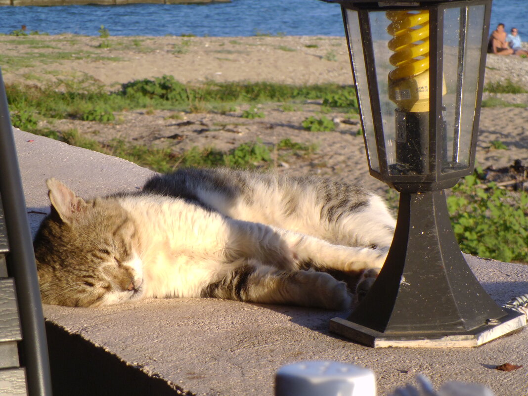 В отпуске - Serega SchütZ