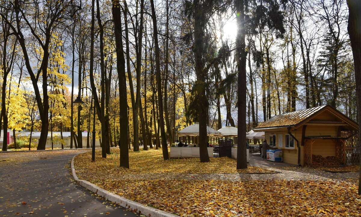 Усадьба. Осень. - tatiana 