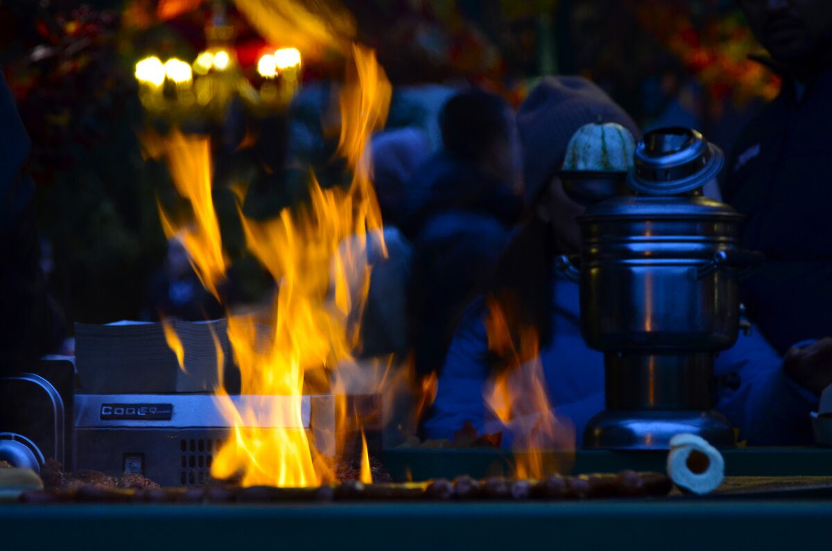 Можно смотреть бесконечно, как горит огонь... - Наталья Вязигина