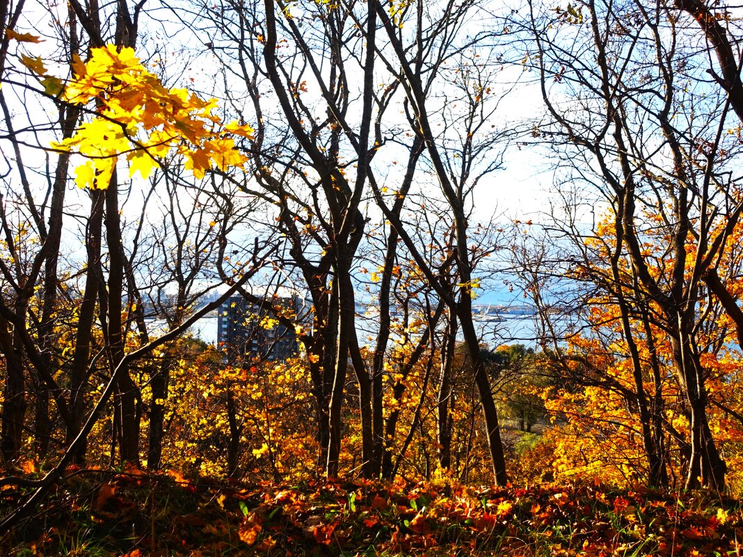 Вдоль обрыва..по самому краю.. - Aida10 