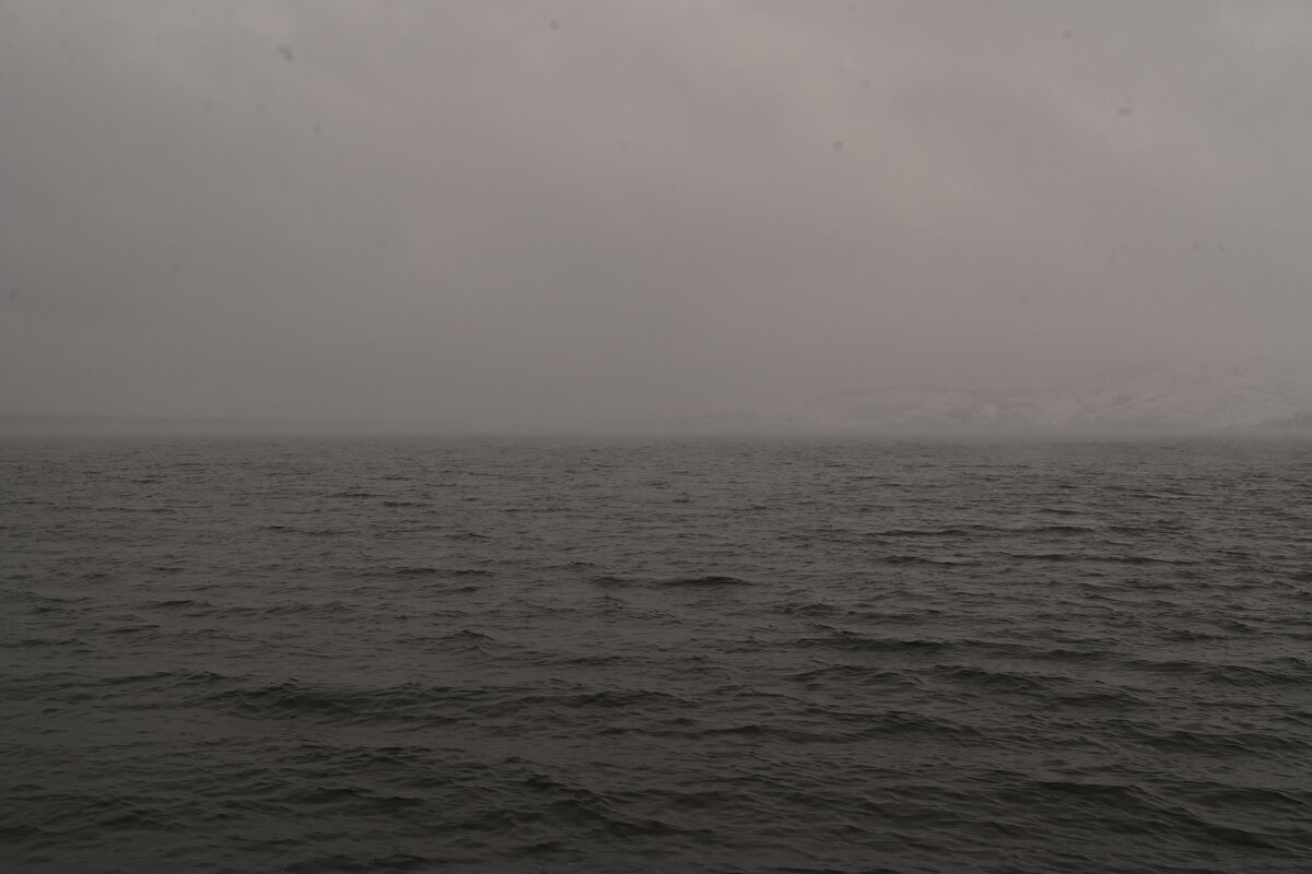 На озере - redfox 