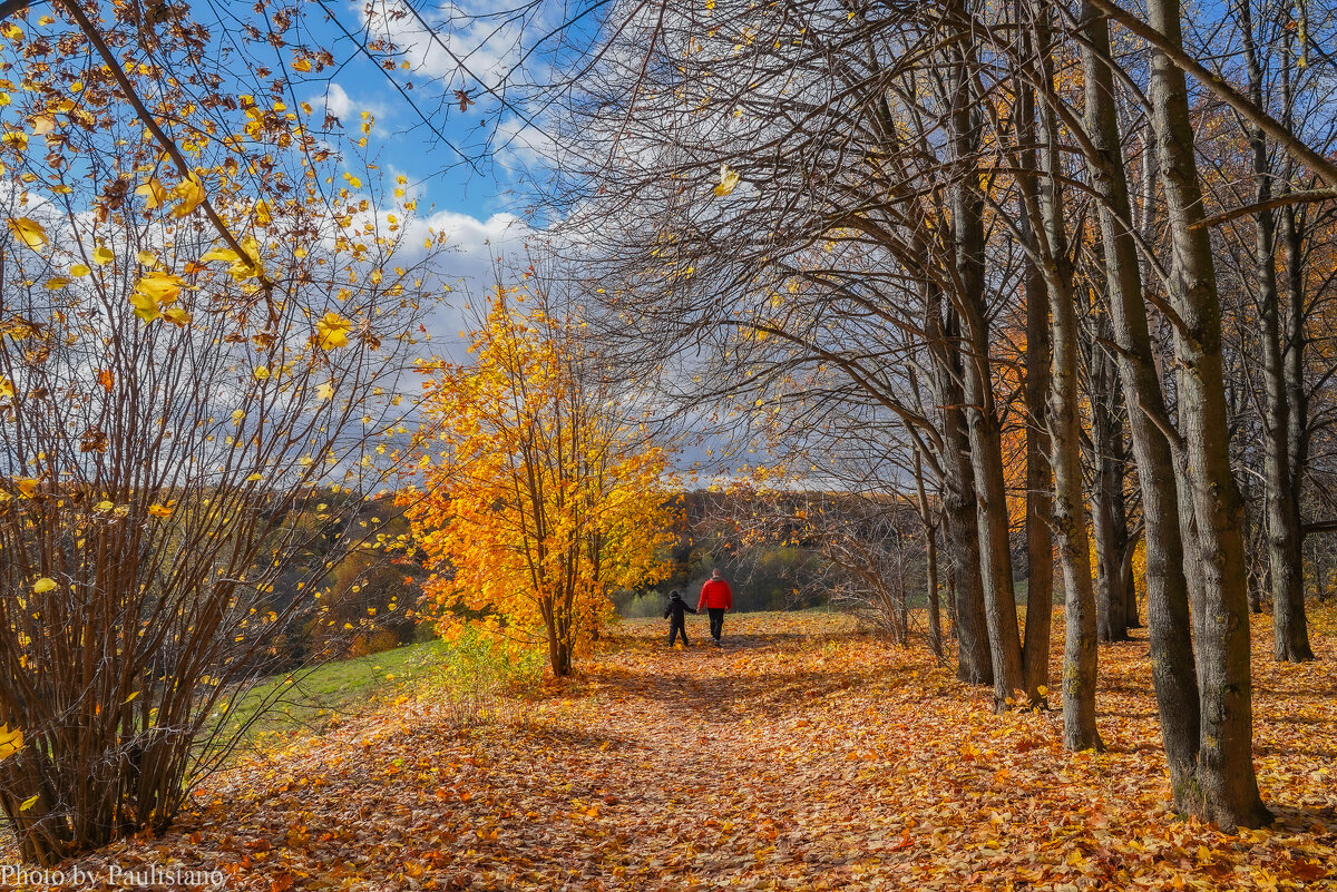 Октябрь в Царицыно... - Владимир Жданов