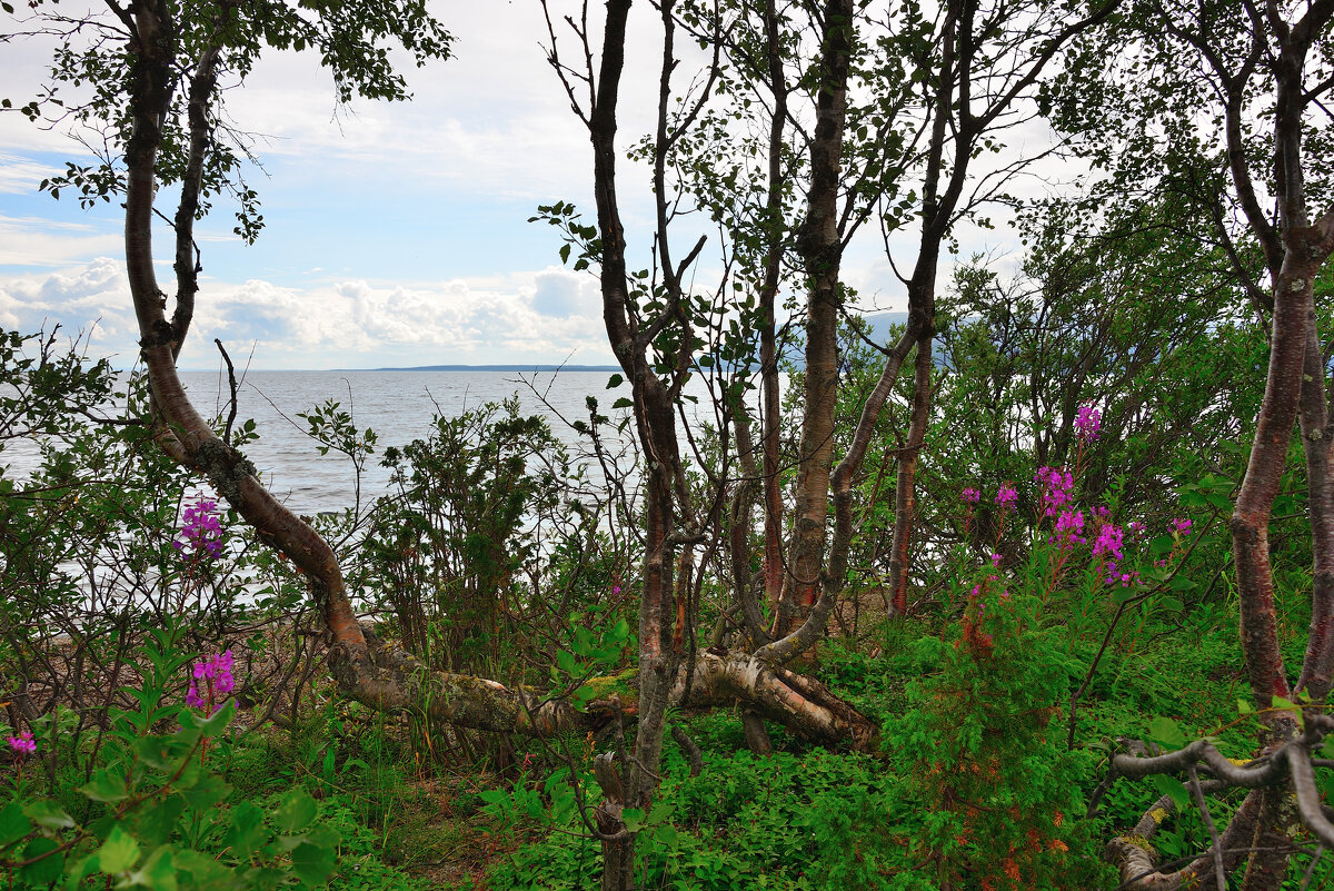 *** - Александр Хаецкий *** - Александр Хаецкий