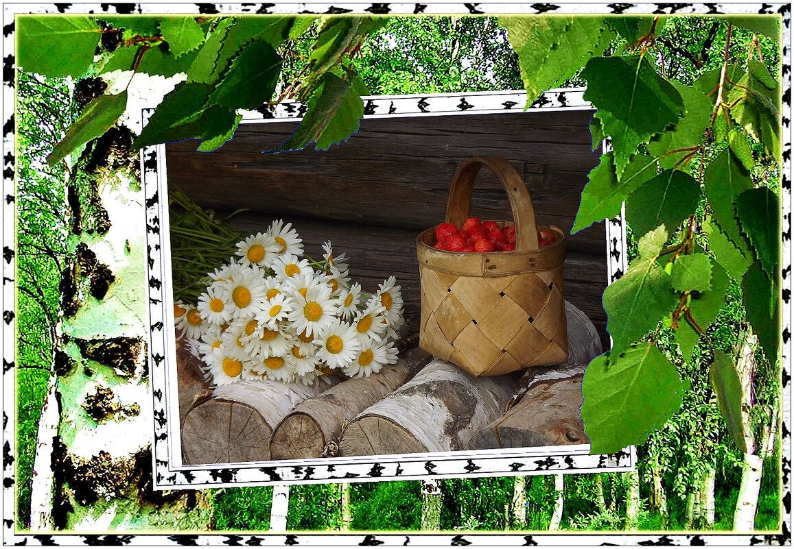 Ягодное лето! - Нина Андронова