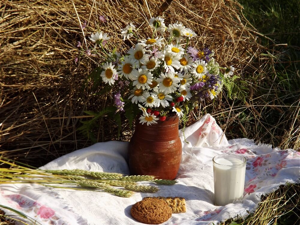 Летний полдень! - Нина Андронова