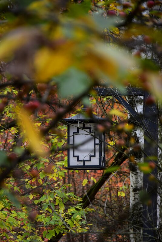 Фонарь среди ягод - Мария Яковлева