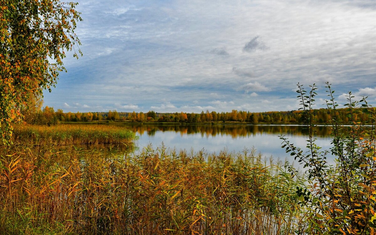 Золотая осень Смоленщины - Милешкин Владимир Алексеевич 
