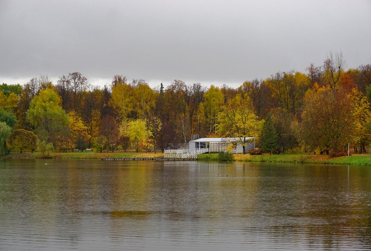 Осень в Царицыно - Ольга Осень в Царицыно - Ольга
