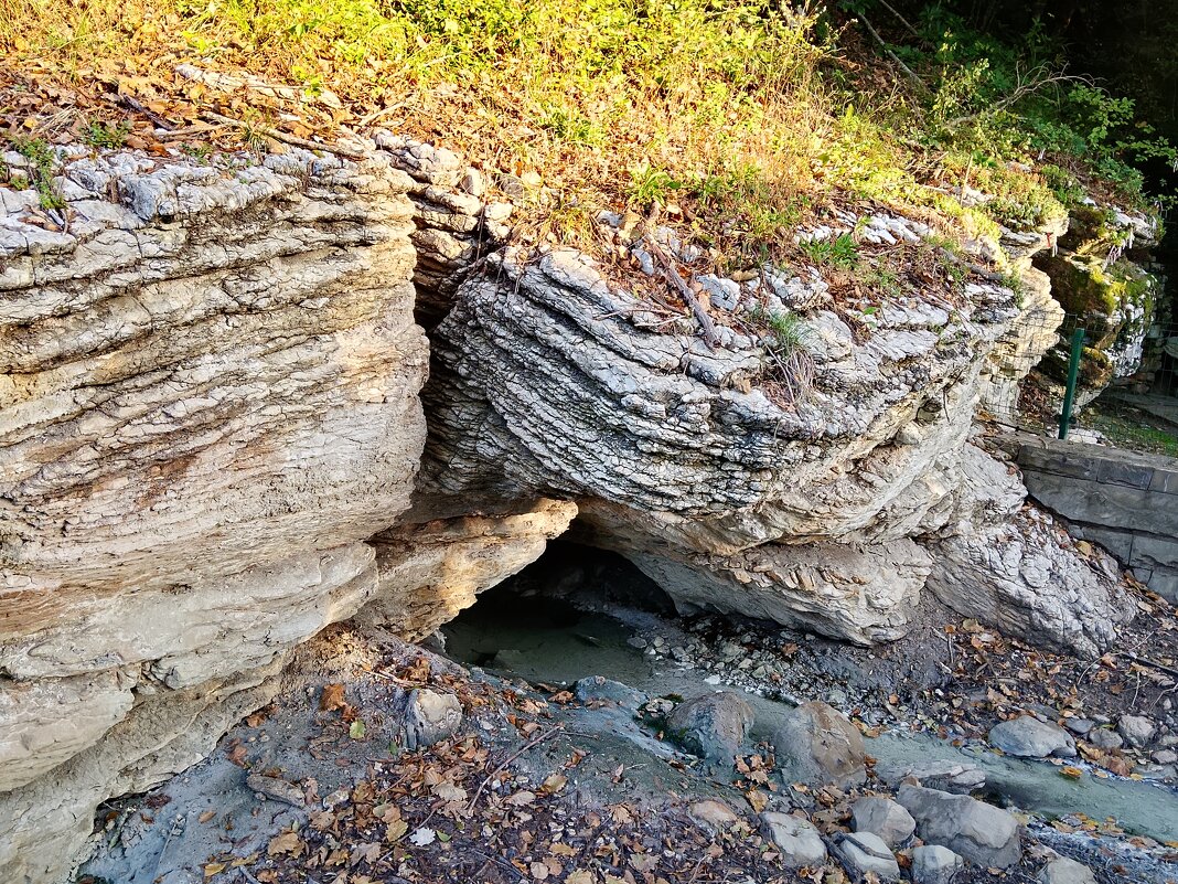 МАЦЕСТА - Tata Wolf