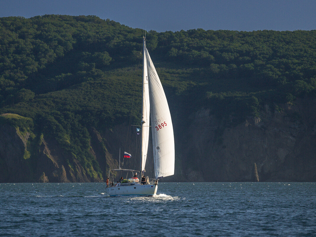 ... - Жора Житников