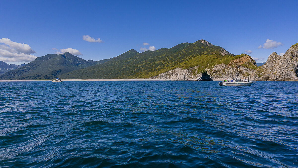 ... - Жора Житников