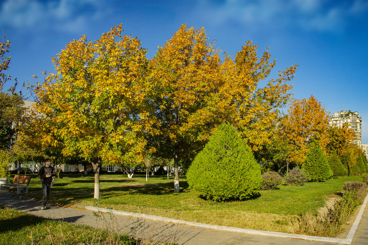 Осень - Анатолий Чикчирный