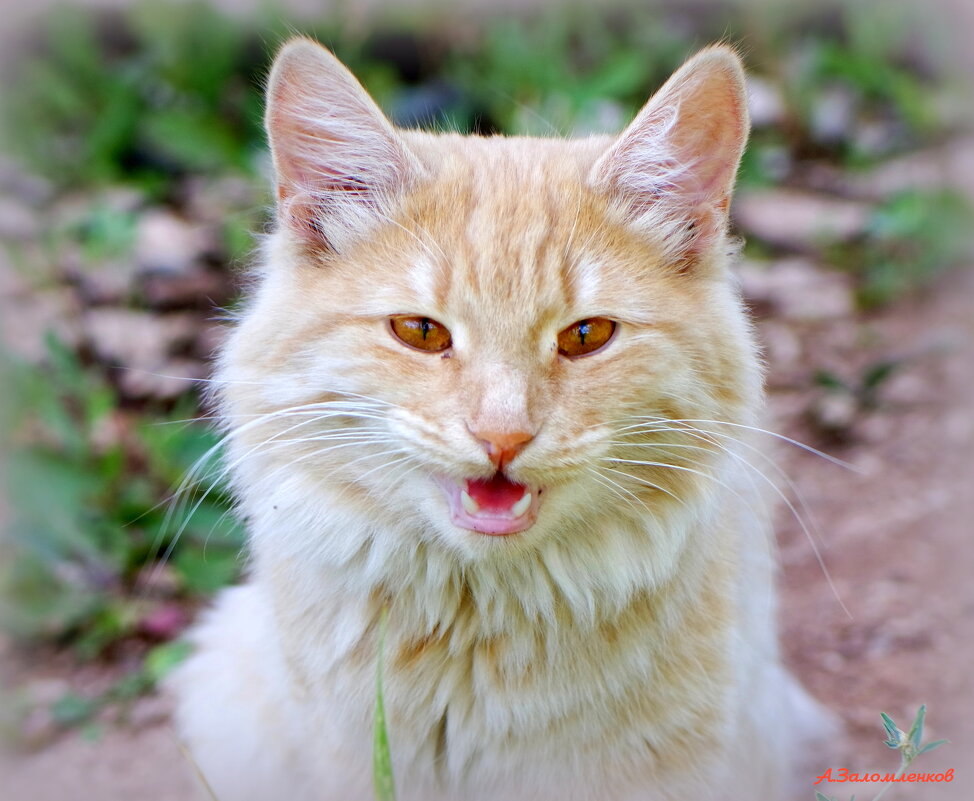 А вы уже готовы к ноябрьским холодам? :-) - Андрей Заломленков