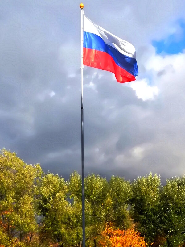 Флаг – это символ РОДИНЫ, гордость ее и честь! - Ольга Довженко