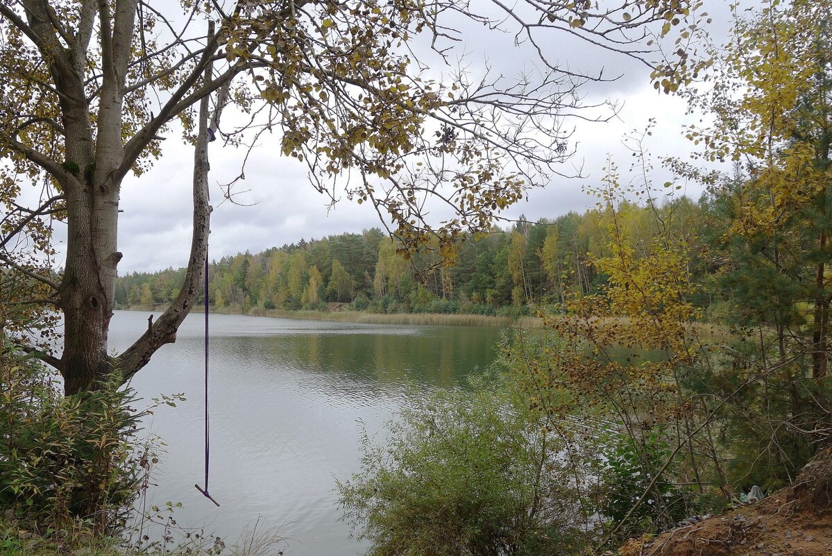 Лесное озеро - Рита Симонова