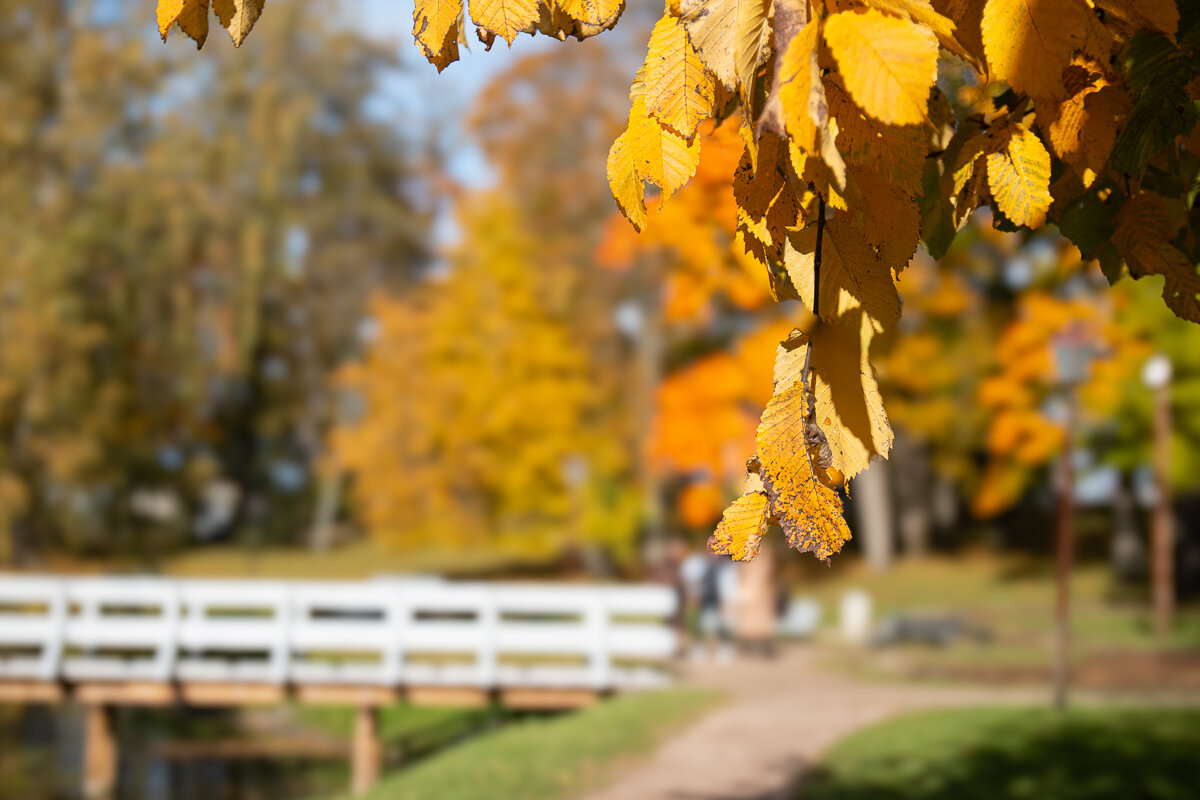 *** - Геннадий Порохов