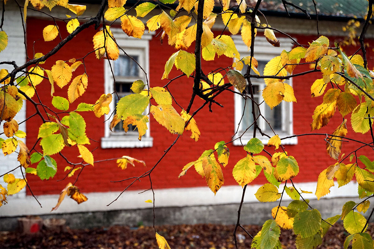 ... - Лариса Корж