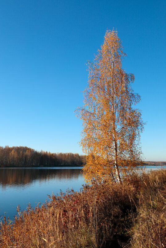 Золотая осень - Oleg S