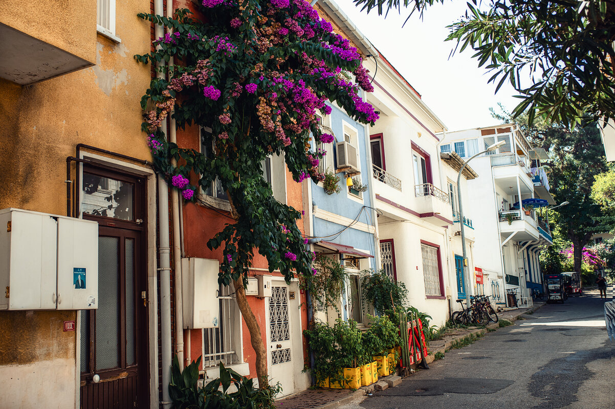 Улочки - Лилия .