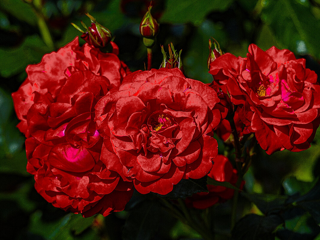 *** - Александр 