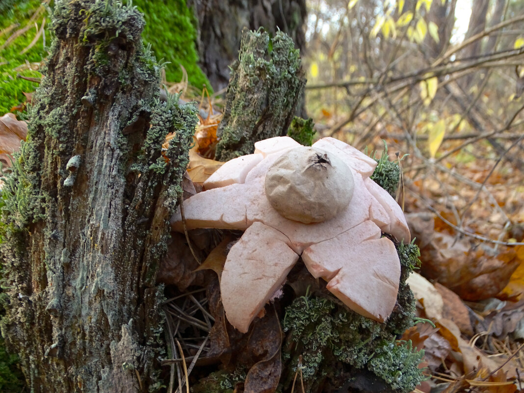 Неожиданная встреча - Татьяна Венцель Неожиданная встреча - Татьяна Венцель