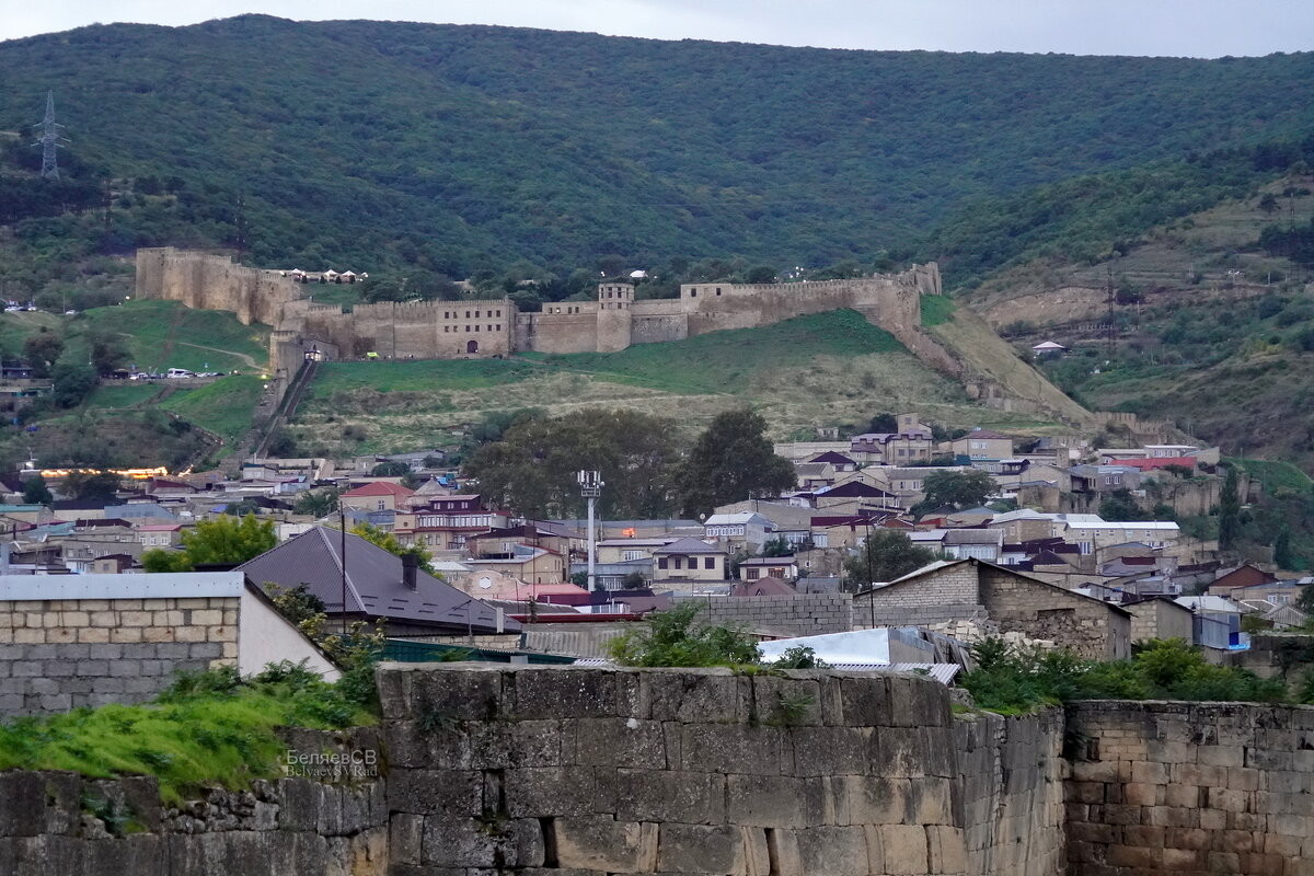 Цитадель - Сергей Беляев