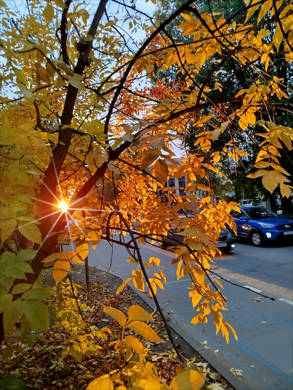 Последний лучик заходящего солнца! - Надежда 