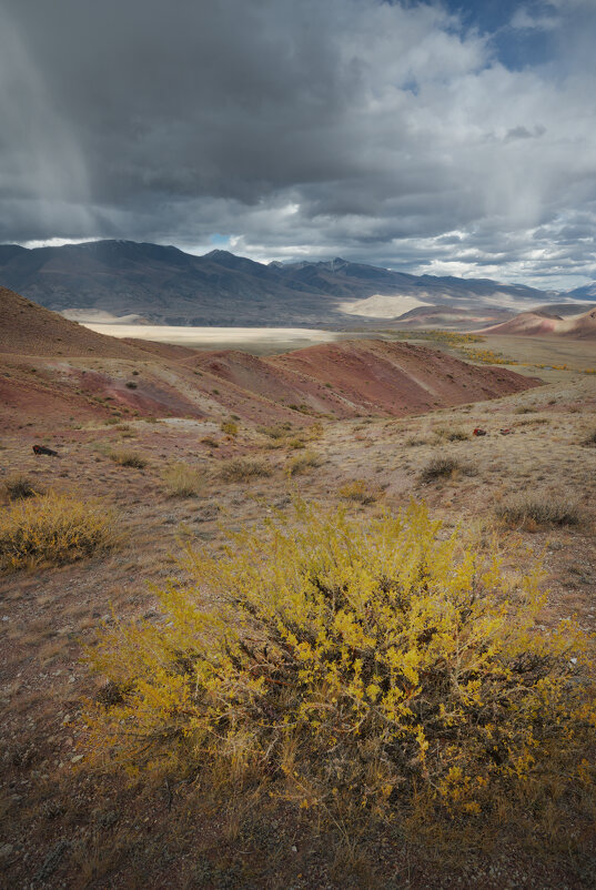 * - Александр Иванов