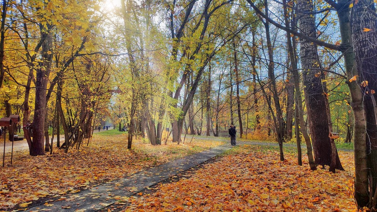 В парке - Наталья Лакомова