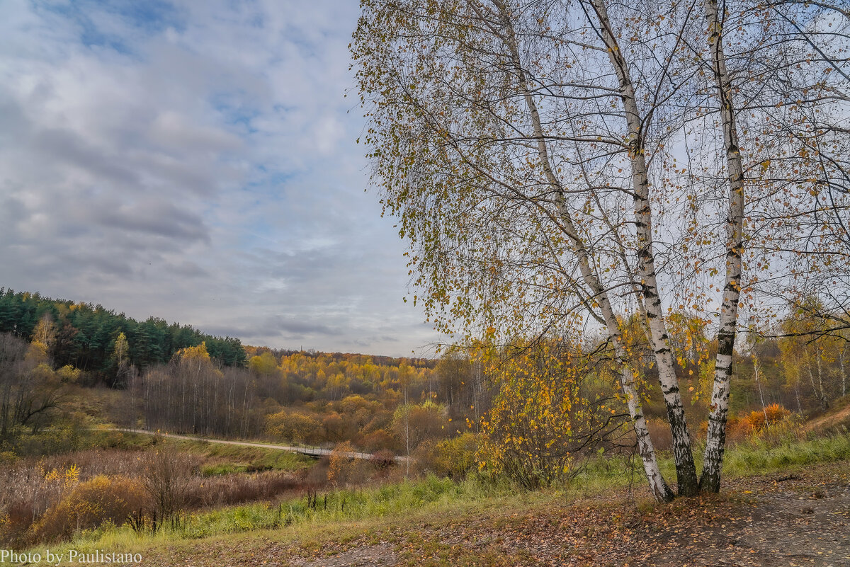 Под небом октября... - Владимир Жданов