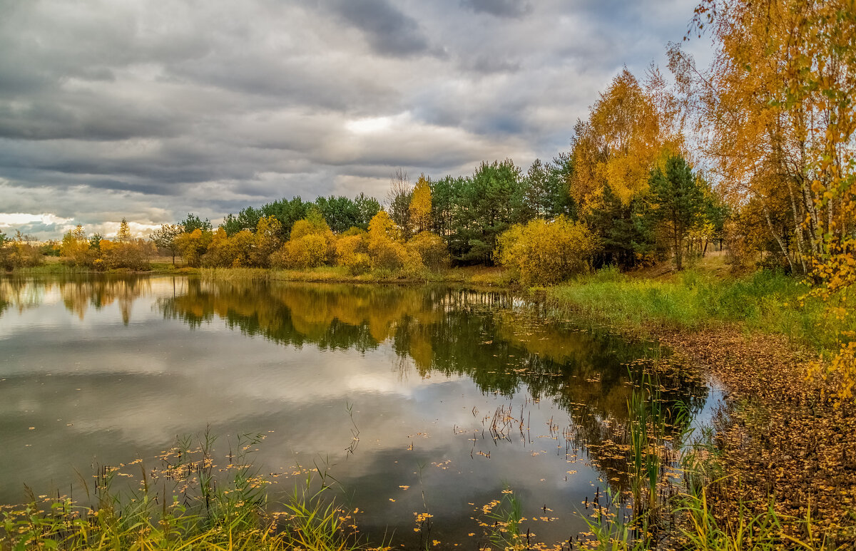 И снова Осень 4 - Андрей Дворников