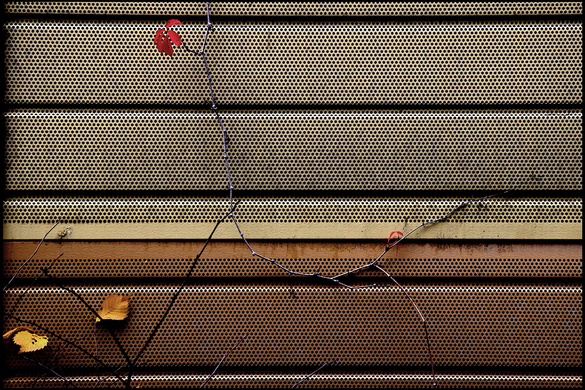 *** - Сергей Премонишын