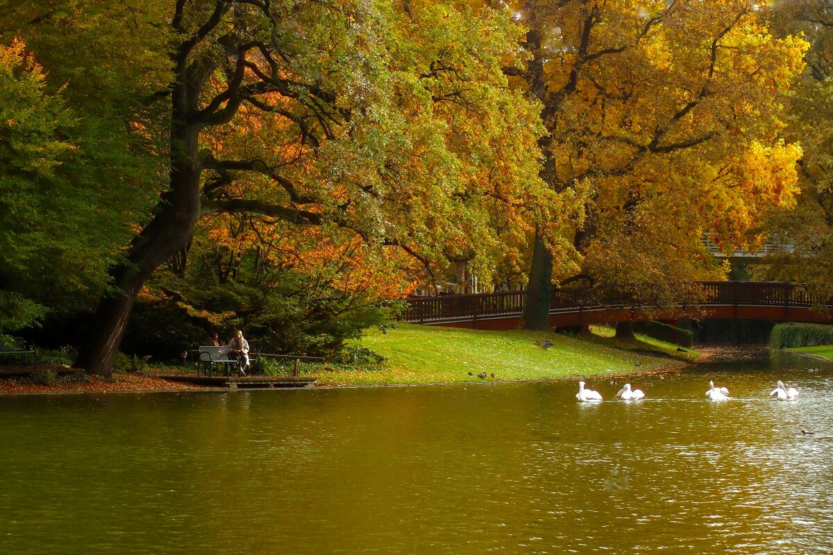 В парке осень - Юрий. Шмаков