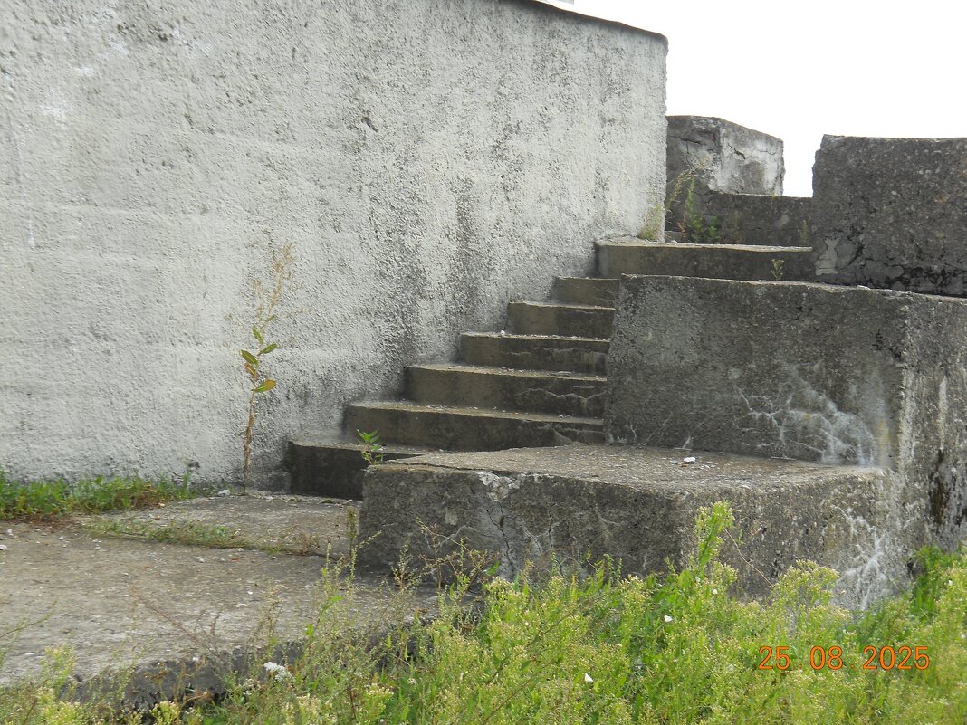 Маяк - fogmeadowww m