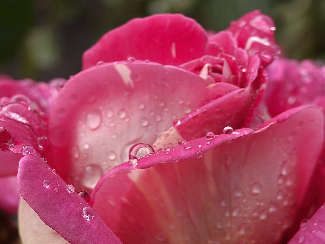 *** - Валерий Ткаченко