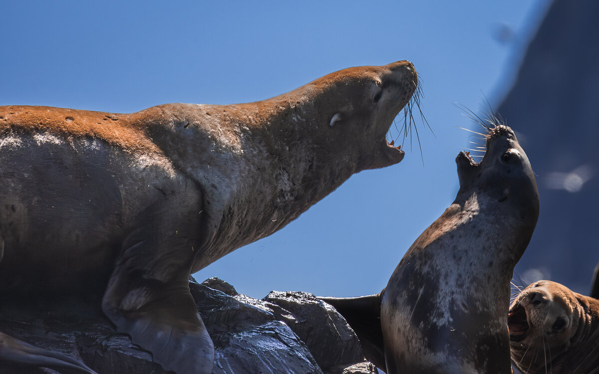... - Жора Житников