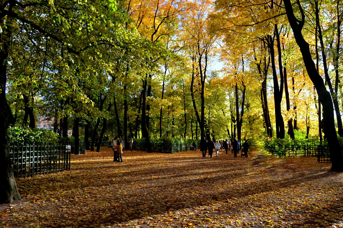 ЛЕТНИЙ САД - Татьяна Касьяненко
