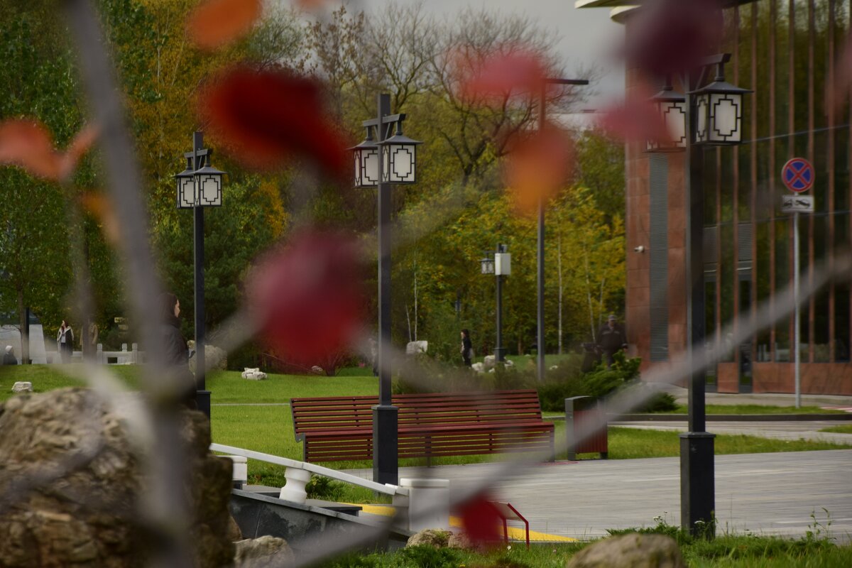 Краски осени - Мария Яковлева