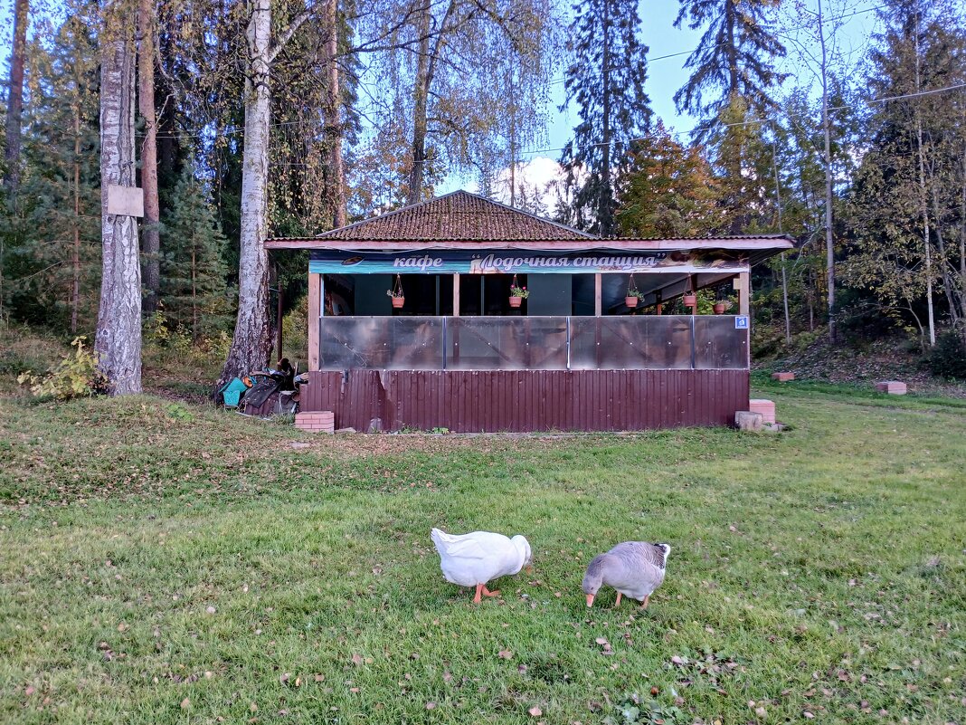 Жили у бабуси... - Лия ☼ Жили у бабуси... - Лия ☼