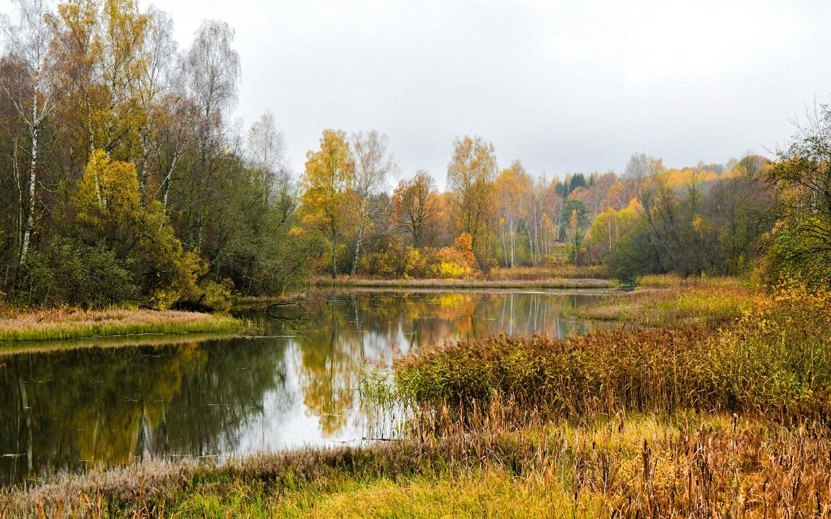 Золотая осень продолжается. - Милешкин Владимир Алексеевич 