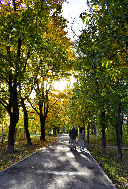 парк «Ла Извор» - Nina Streapan парк «Ла Извор» - Nina Streapan