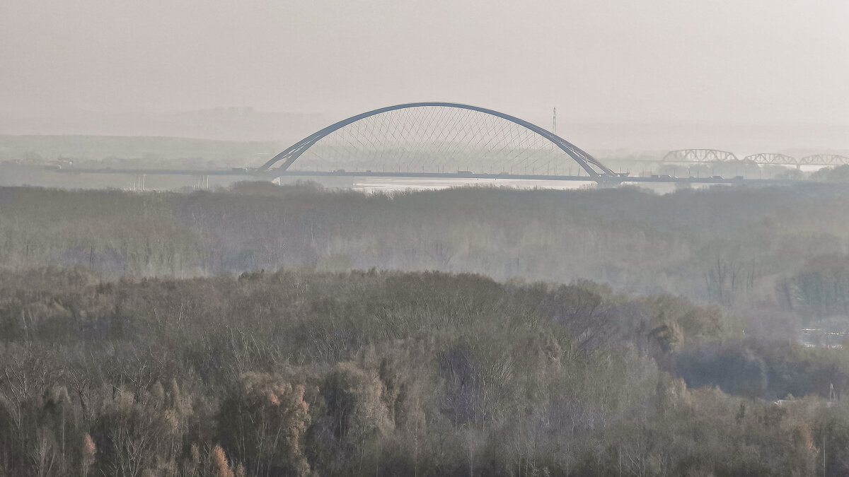 Утро туманное - Dmitry i Mary S