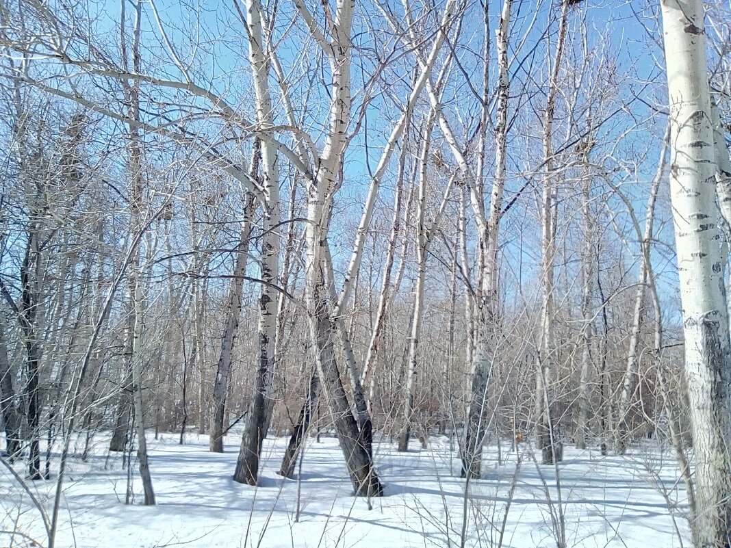 Зимний день - Андрей Хлопонин Зимний день - Андрей Хлопонин