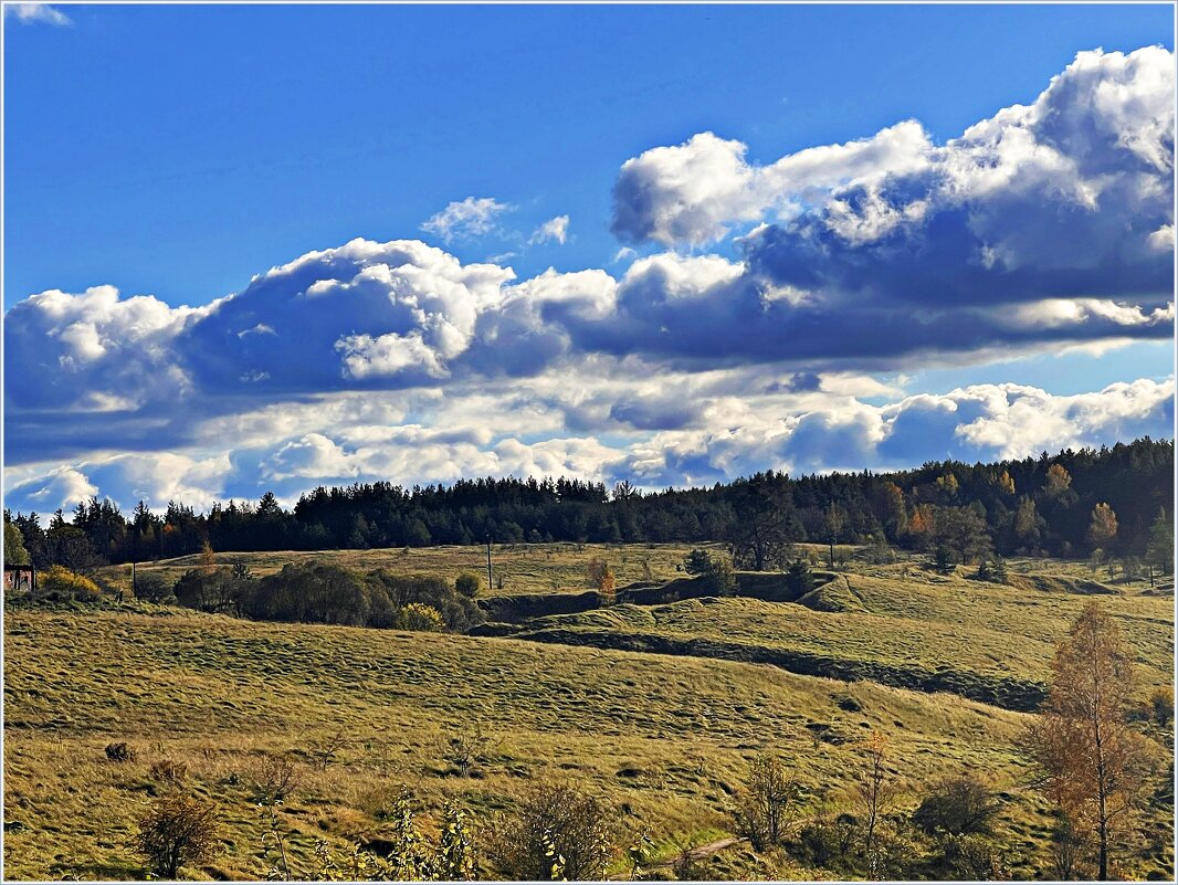 ********* - Валерия Комова