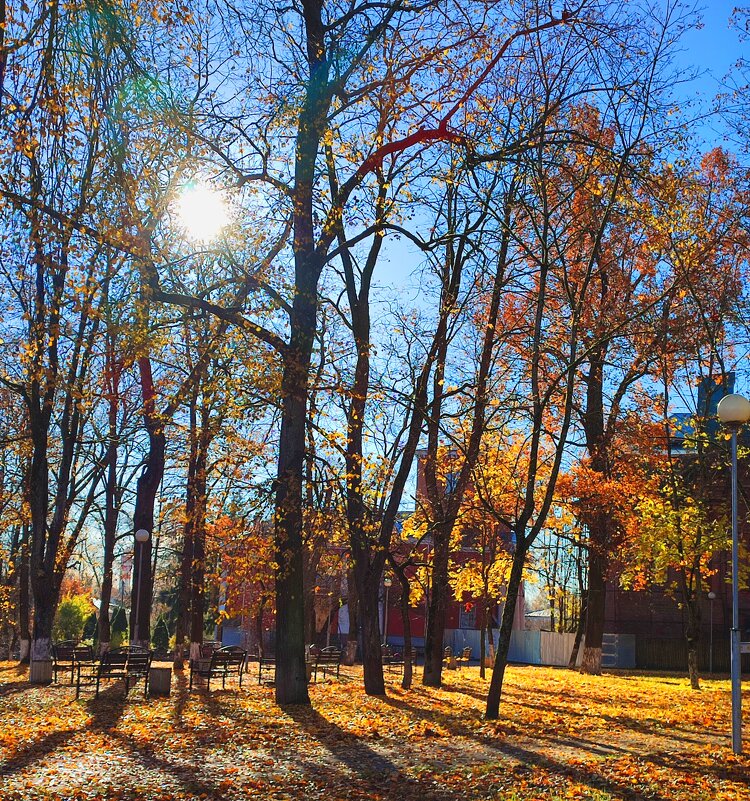 Просто солнце,просто осень... - Ирина 